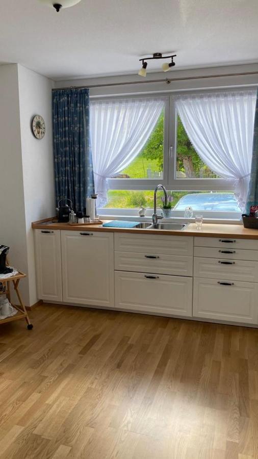 Steppacher Ferienappartements Friedenweiler Dış mekan fotoğraf